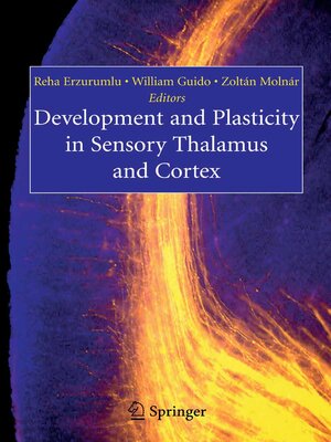 cover image of Development and Plasticity in Sensory Thalamus and Cortex